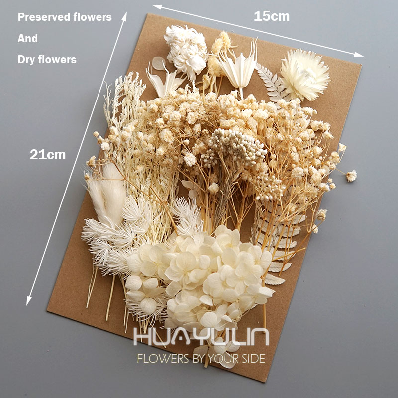 1-pack kunstplanten gedroogde  - Flower Preservation Resin recensie en prijs
